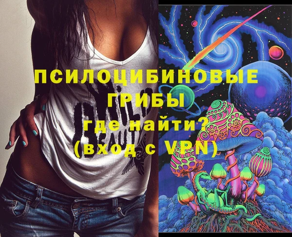 гидра Кукмор