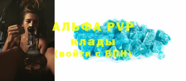 прущие грибы Куйбышев