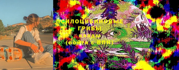 гидра Кукмор