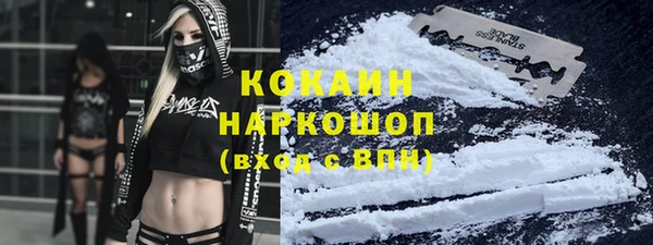 прущие грибы Куйбышев