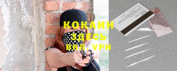 прущие грибы Куйбышев