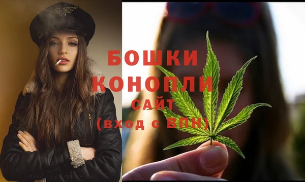 прущие грибы Куйбышев