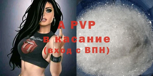 прущие грибы Куйбышев